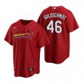 Nike St. Louis Cardinals #46 Paul Goldschmidt Red Alternate Stitched Baseball Jersey