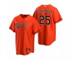 Baltimore Orioles Anthony Santander Nike Orange 2020 Replica Alternate Jersey