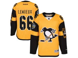 Pittsburgh Penguins #66 Mario Lemieux Gold 2017 Stadium Series Stitched NHL Jersey