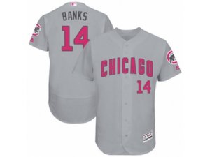 Chicago Cubs #14 Ernie Banks Grey Mother\'s Day Flexbase Authentic Collection MLB Jersey