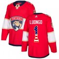 Florida Panthers #1 Roberto Luongo Authentic Red USA Flag Fashion NHL Jersey