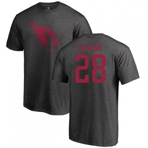 Arizona Cardinals #28 Jamar Taylor Ash One Color T-Shirt