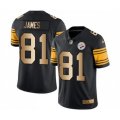 Pittsburgh Steelers #81 Jesse James Limited Black Gold Rush Vapor Untouchable Football Jersey